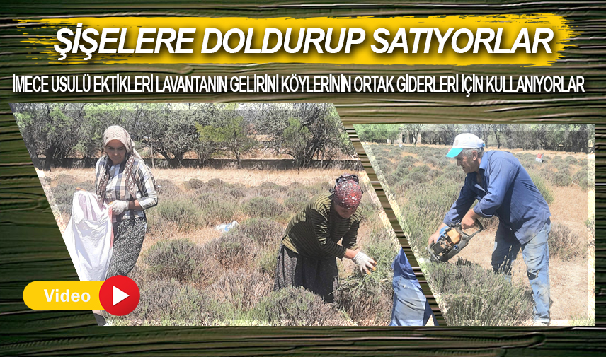 Şişelere doldurup satıyorlar